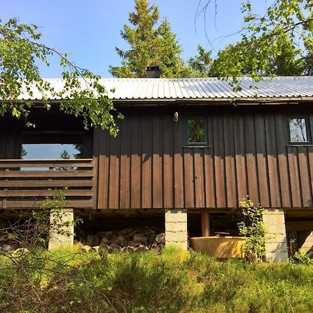 Skogheim Two-Bedroom Cottage Birkeland Dış mekan fotoğraf